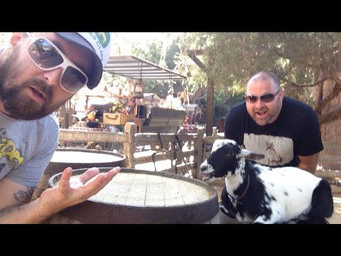 TDW 1142 - NEW Star Wars Land ? Renaming The Goats !