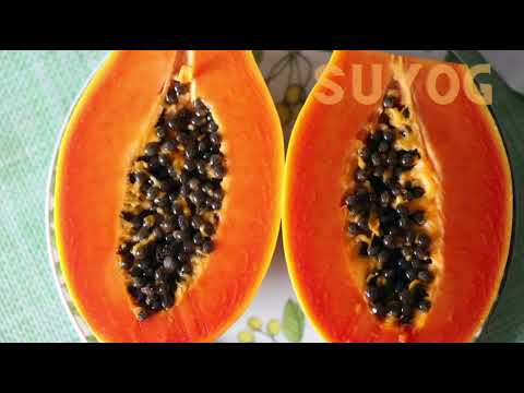 Frozen Papaya Pulp | Available on IndiaMART