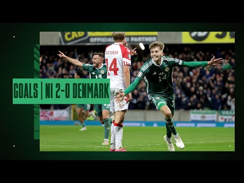 Northern Ireland 2-0 Denmark