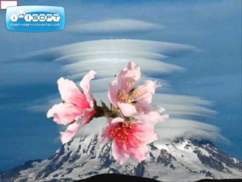 Nụ cười hồng Sheet - Tốp ca nữ