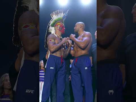 UFC video artwork