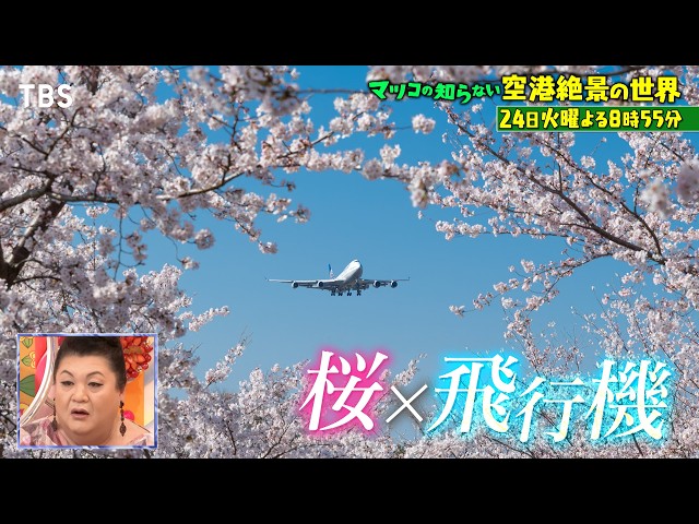 マツコの知らない世界🈖🈑【毎週火曜よる８時５５分！マツコ仰天！驚きの世界】