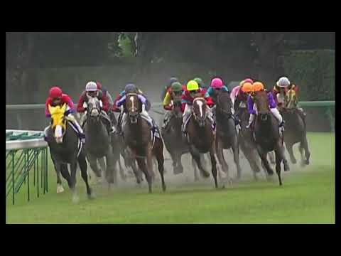 2004 Japan Sprinters Stakes G1 - Calstone Light O (金鎮之光) - N.Onishi (香港代表馬好望角直路穿入內檔力鞭而上僅僅失Q