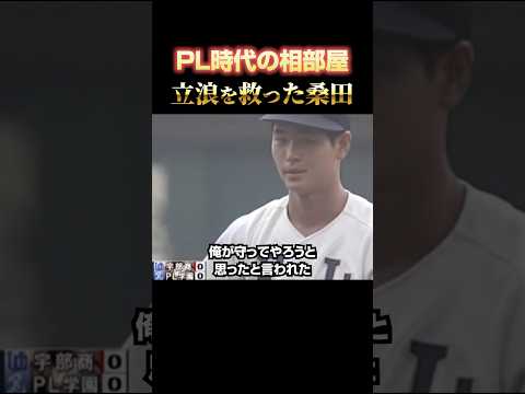 PL学園黄金期 #立浪和義 #桑田真澄 #高校野球 #甲子園 #プロ野球 #NPB #baseball