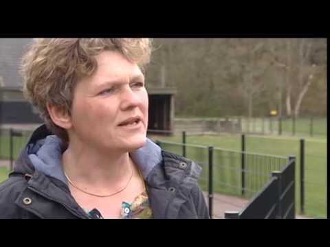 Nooitgedacht in RTL4 programma WoonTips