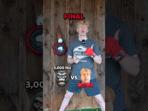 Can I Punch Harder Then A Gorilla?