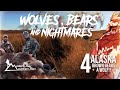 Alaska Brown Bear Wolf Hunting Adventure Wolves Bears Nightmares