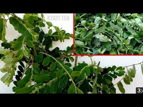 BYOTAYINA KOLA NGA ONABYE OMUNYO BYEBINO