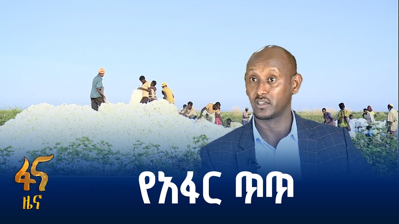 ጥራት ያለው የጥጥ ልማት