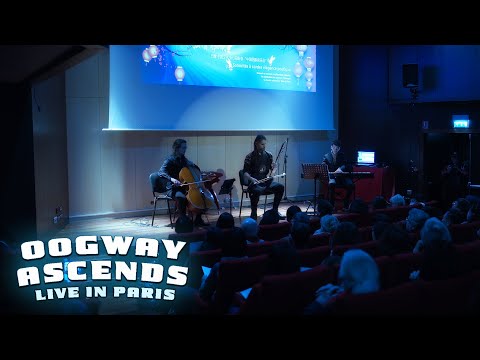 KUNG FU PANDA - Oogway Ascends (Hans Zimmer) Eliott Tordo Erhu LIVE in PARIS
