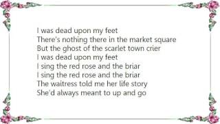 John Wesley Harding - The Red Rose and the Briar Lyrics