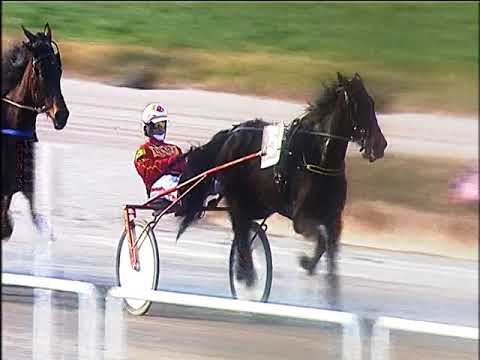 Trotto 24/01/2020 - 3ª corsa