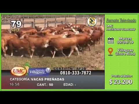09-04-19 - Venta de Vientres - Remate Televisado de UMC & HACIENDAS VILLAGUAY - Entre Ríos