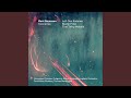 Trumpet Concerto III