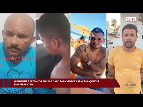 Quadrilha é presa por roubar gado para vender carne em açougue em Esperantina 18 10 2022