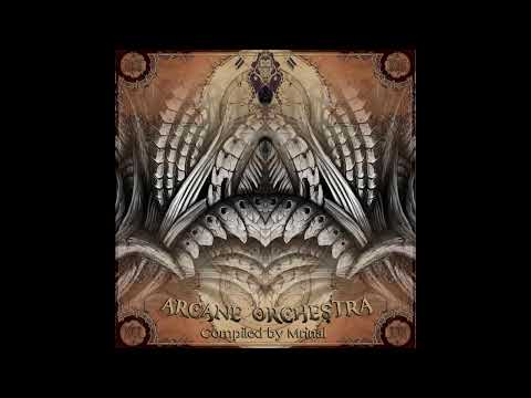 CaliBalam   -  Shake it