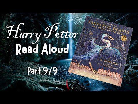 Fantastic Beasts and Where to Find Them | Creatures U - Z Part 9/9 | Low Stimulation