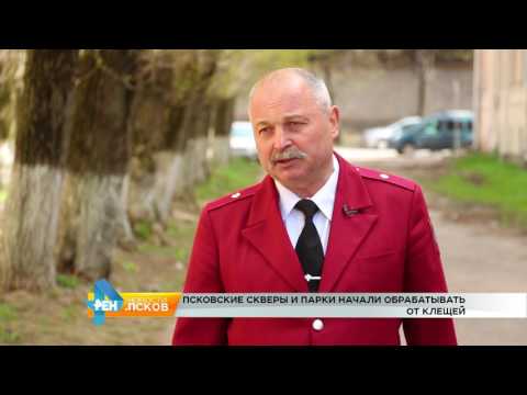 Новости Псков 16.05.2017 # Псковские скверы и парки начали обрабатывать от клещей
