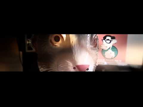 VBT 2013 - ha$e vs. zarte lust [VR2]