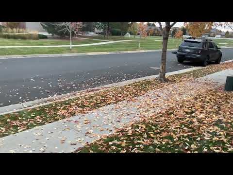 Dinosaur central season 5 episode 3 - fight for food