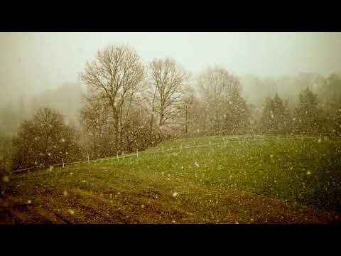 Kaucer ft.  Golden  - Wolałbym stracić głos (Złote Twarze rmx)