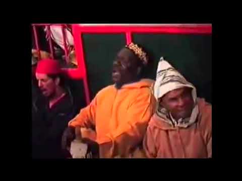 TUSK TV April 2021 - Hive Mind Mix