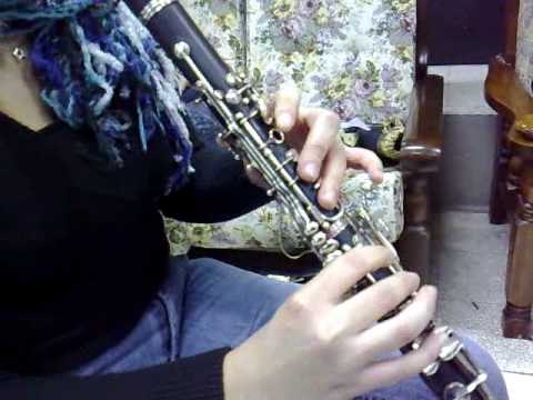 Corso di Clarinetto  2008