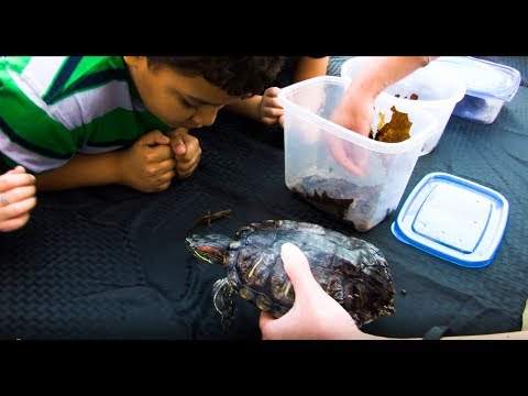 Environment Matters Weekly - Earth Day Edition