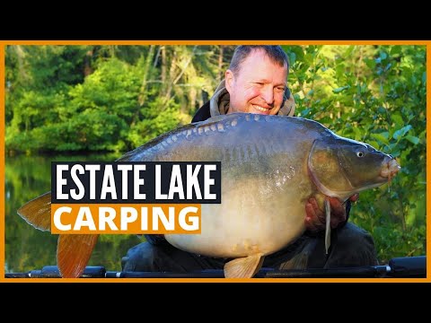 Carp Fishing France: Fishing for big carp in small estates lakes