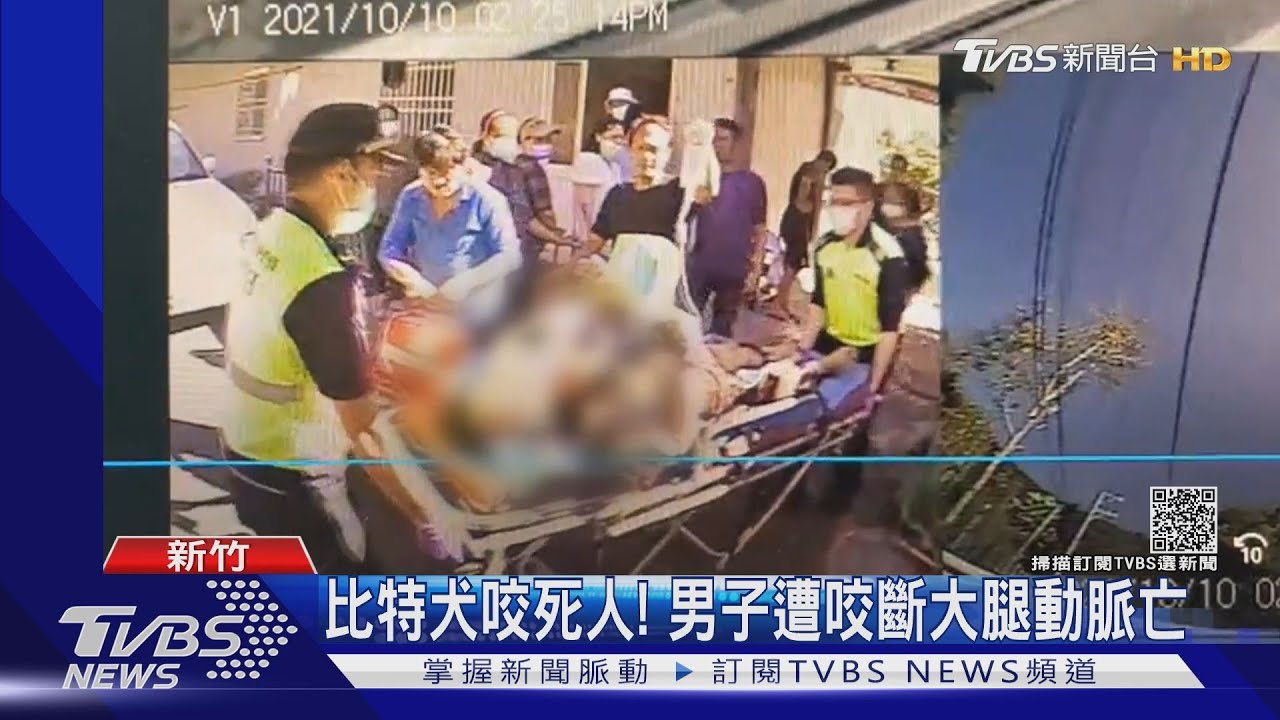 比特犬咬死人!男子遭咬斷大腿動脈亡
