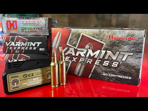Hornady Black Subsonic Ammo Test… The Results Were NOT What I Expected