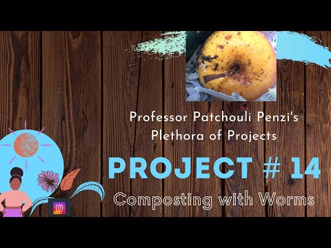 Vermicomposting: Stirring our Worm Bin