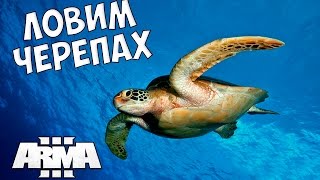 Ссылка