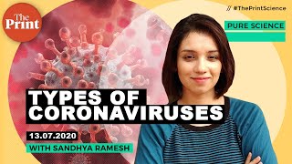 What are the different strains of human coronaviruses?