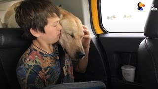 Boy&#39;s Dog Killed In the Most Upsetting Way: The Government&#39;s War On Animals | The Dodo
