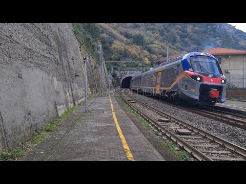 R 5564/5565 Reggio Calabria C.le - Cosenza