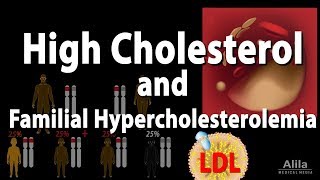High Cholesterol and Familial Hypercholesterolemia, Animation