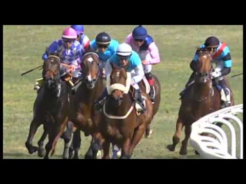 5 Carrera, G.P. de Velocidad The Jockey, 21 de febrero 2016 - Gran Hipódromo de Andalucía