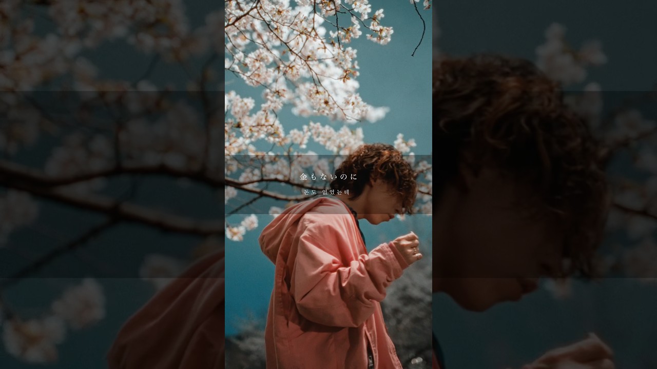 桜が落ちる前に #yrdleo #新曲