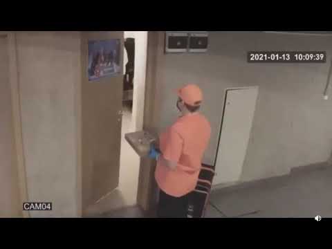 Illegal Pet Monkey Pays for Pizza Delivery (CRAZY REACTION)