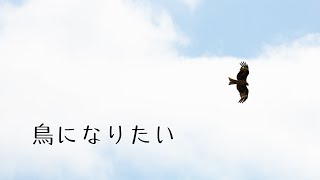 【Bird Simulator】鳥になりたい　#１