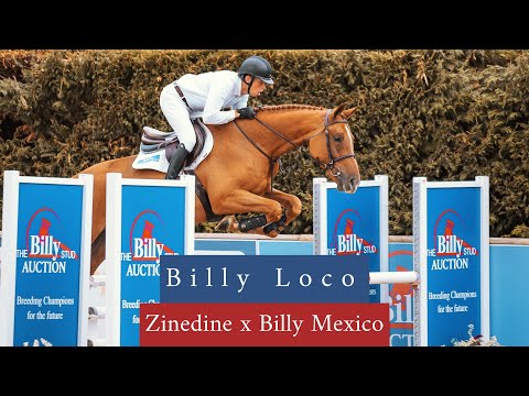 Billy Loco