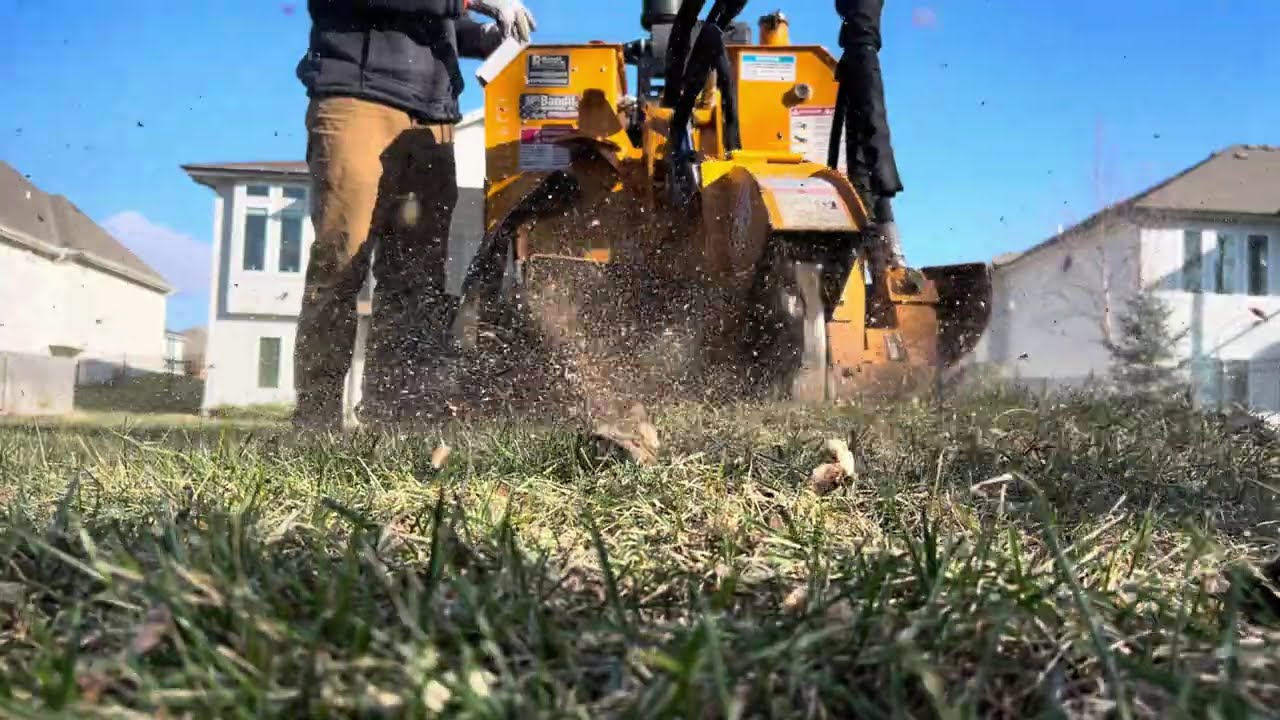 Stump Removal in Lenexa, KS