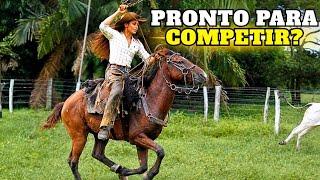 O Cavalo Pantaneiro Merece Mais Espaço nas Competições?