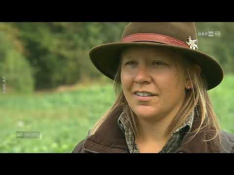 Jagd wird weiblicher ORF Oberösterreich heute