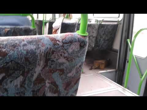 Ikarus 260.46 (BPI-561) [71-es busz] Csepel, Horgásztanya-Komáromi utca