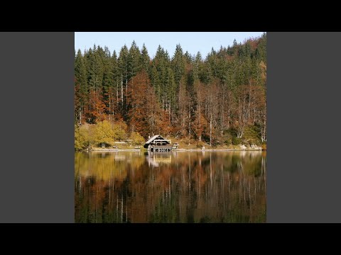 Our House By The Lake