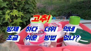 고추방제 할때 혼합 사용할 수 있고 비료와도 혼용이 가능한 칼슘제