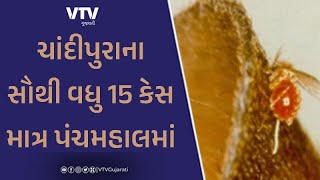article-logo