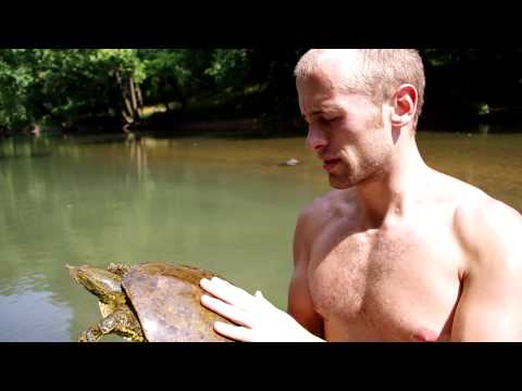 RepKyle - Eastern Spiney Softshell 2014